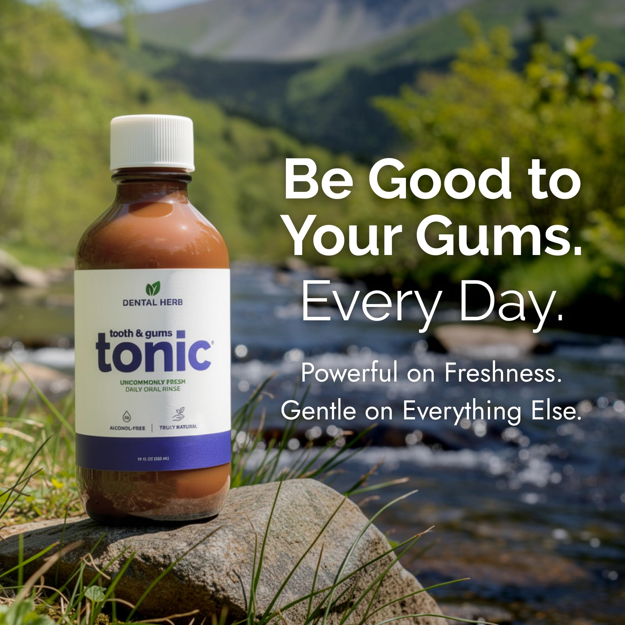 Dental Herb Company Tooth and Gums Tonic - Value Pack 2 Bottles by Dental Herb Company