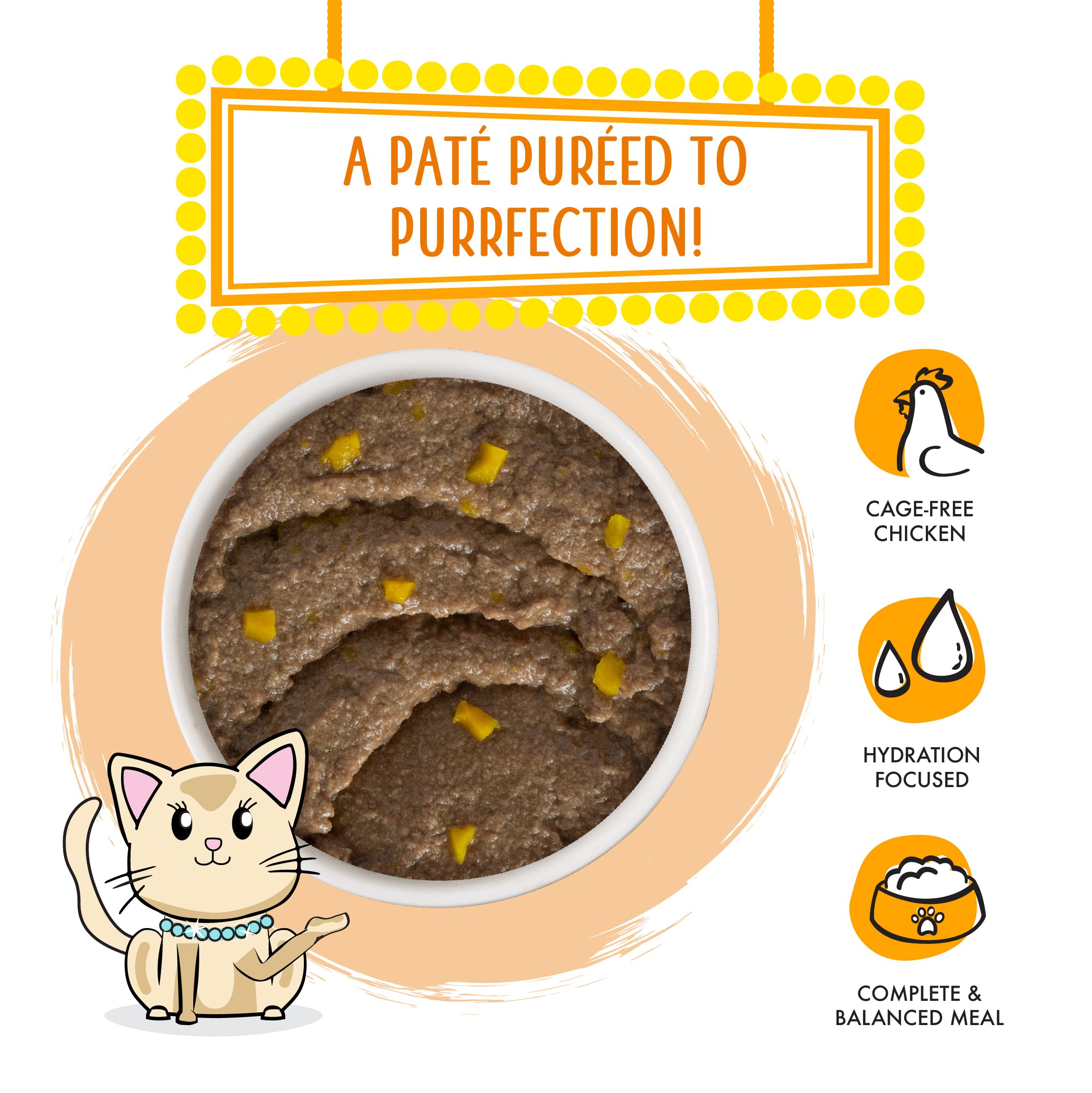 Weruva Comida húmeda para gatos, Who Wants to be a Meowionaire con paté de pollo y calabaza, lata de 3 onzas, paquete de 12