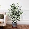 Product Photo 8