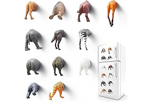 Wild Animal Butt Magnets for Adults, Kids - Set of 12
