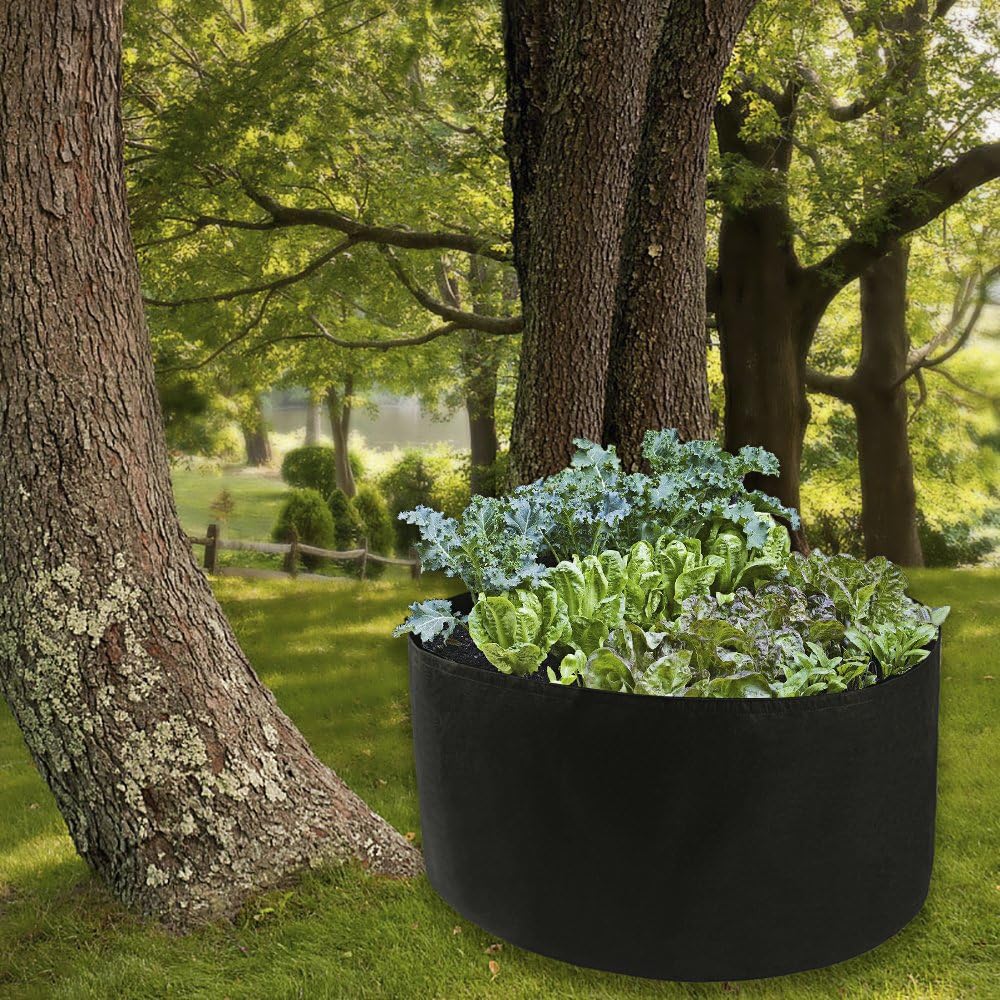 Round Plant Grow Bag, Large Fabric Aeration Pots Container, Raised Bed Bag for Herb Flower Vegetable (150 Gallon)