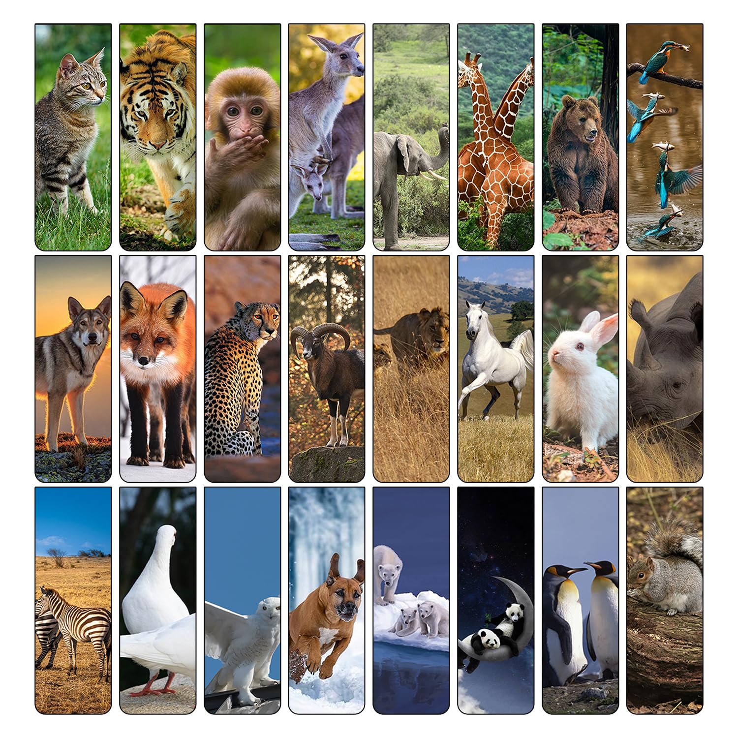 24pcs Marcapaginas Magnetico, Marcapaginas Niños, Marcapáginas de Animales, Regalos Cumpleaños Niños Colegio, Cumpleaños Niños Regalo Amiga