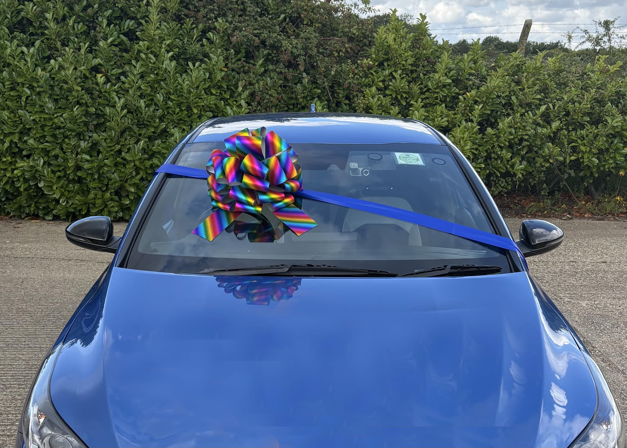 Hampabox Giant Colourful Bow For New Car, Large Gifts and Party Decoration (40cm + 6 metres ribbon)