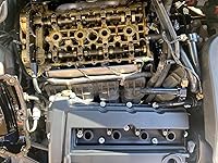 Review Image by Parker Parker