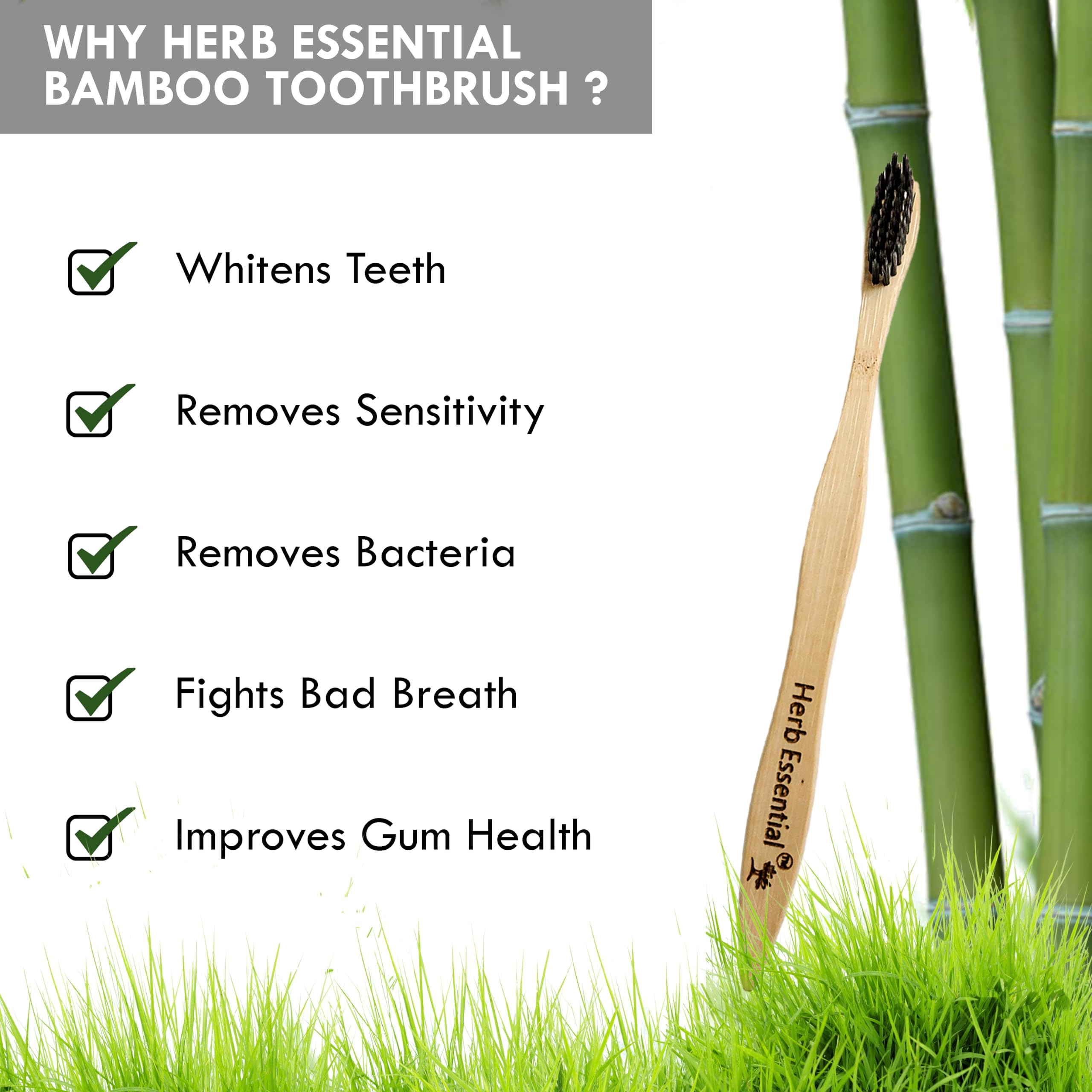 Herb Essential 2 BambooToothbrush & 2 Pure Copper Tongue Cleaner, Combo Pack | Bamboo Toothbrush with Pure Copper Tongue Cleaner |Ultra-Soft Charcoal activated Bristles - Image 3 thumbnail