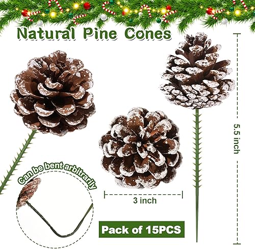 Miniatura 5 de Púas de pino natural de Navidad de 3 pulgadas, 15 piezas de piñas de nieve para decoración de árbol de Navidad, hogar, fiesta, bricolaje