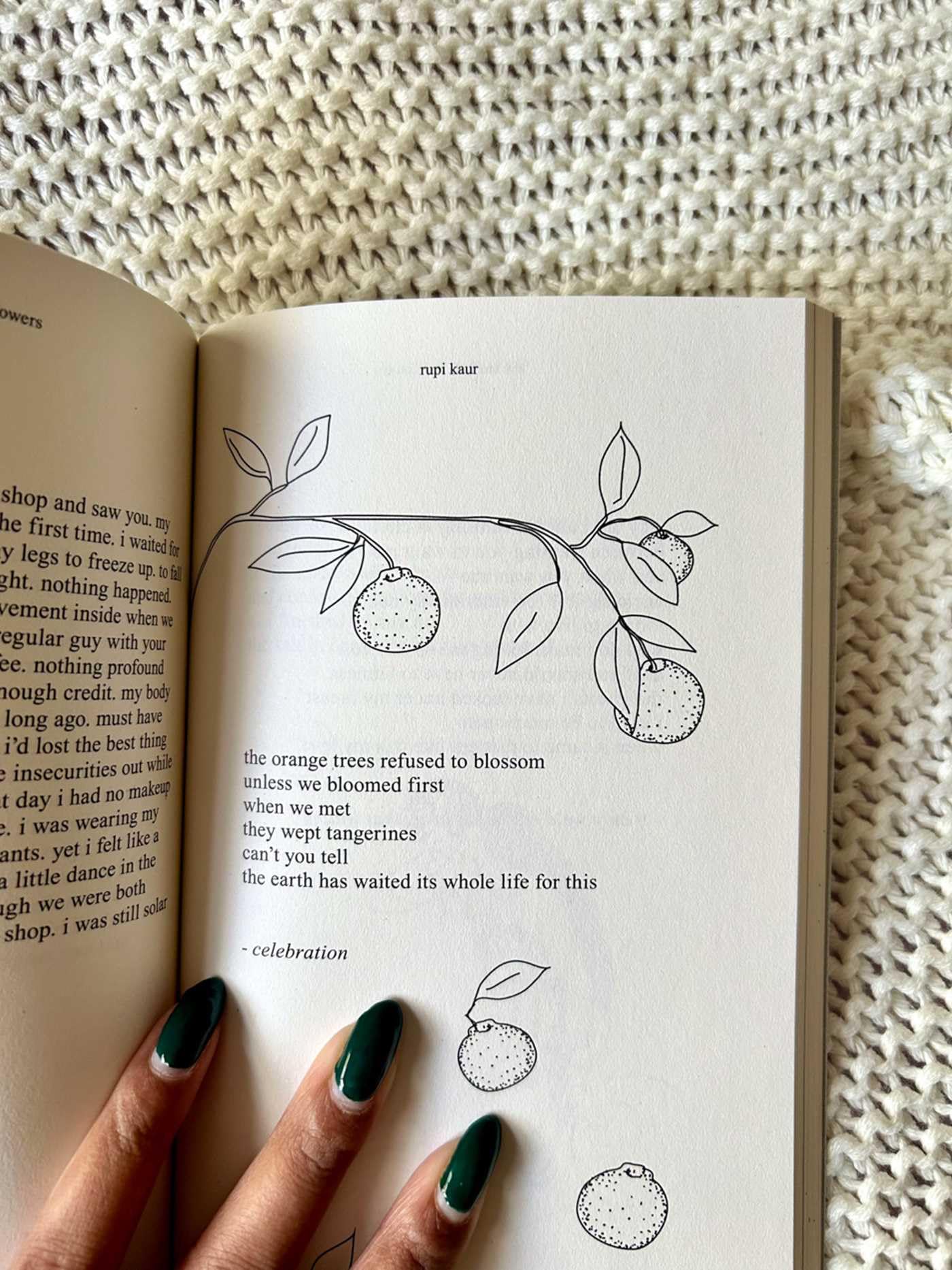 The Sun and Her Flowers — Amazon image 11