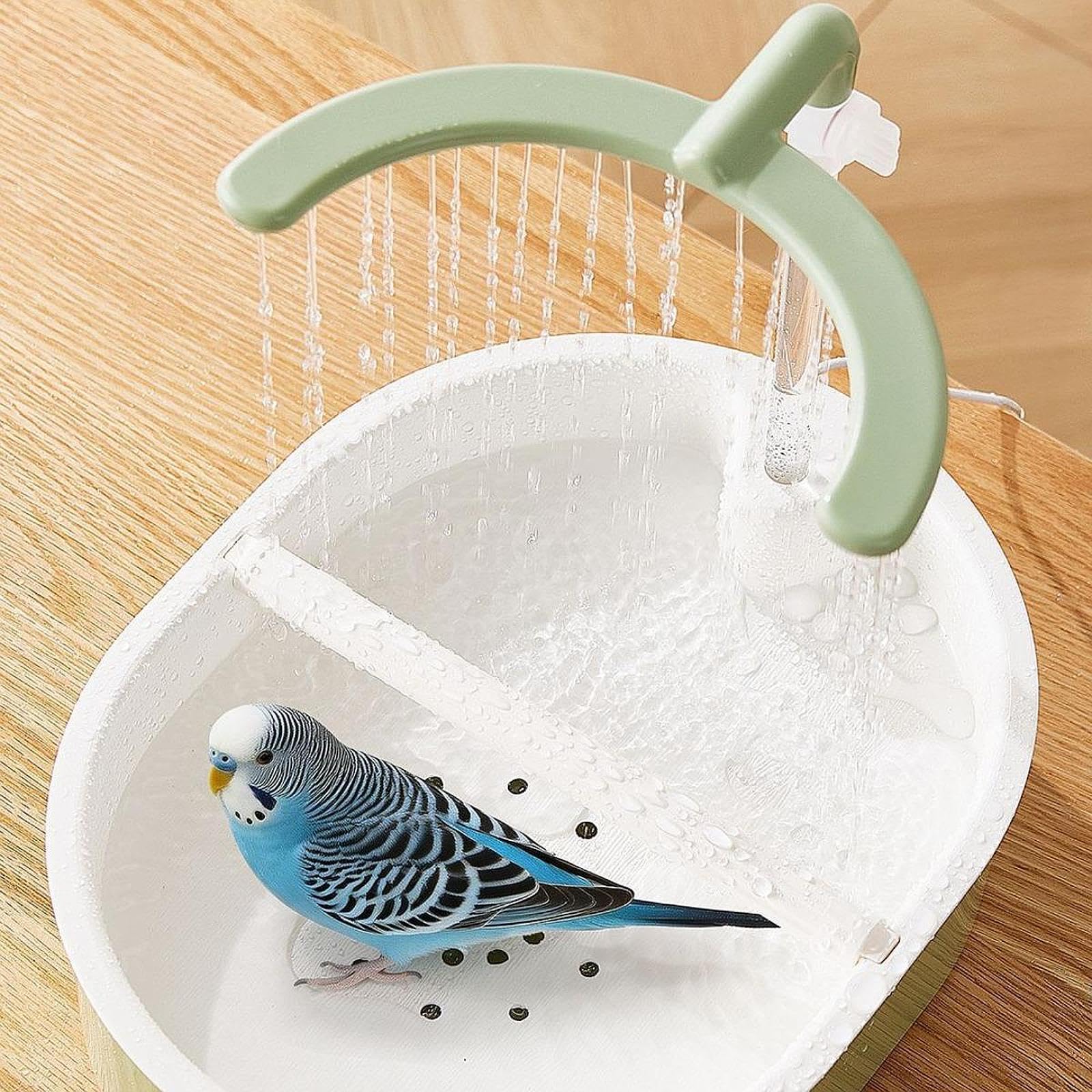 Baño Automático Ajustable para Loros, Bandeja Espaciosa, Fácil Montaje, Compatible con Parejas, Baño Higiénico para Agapornis, Verde