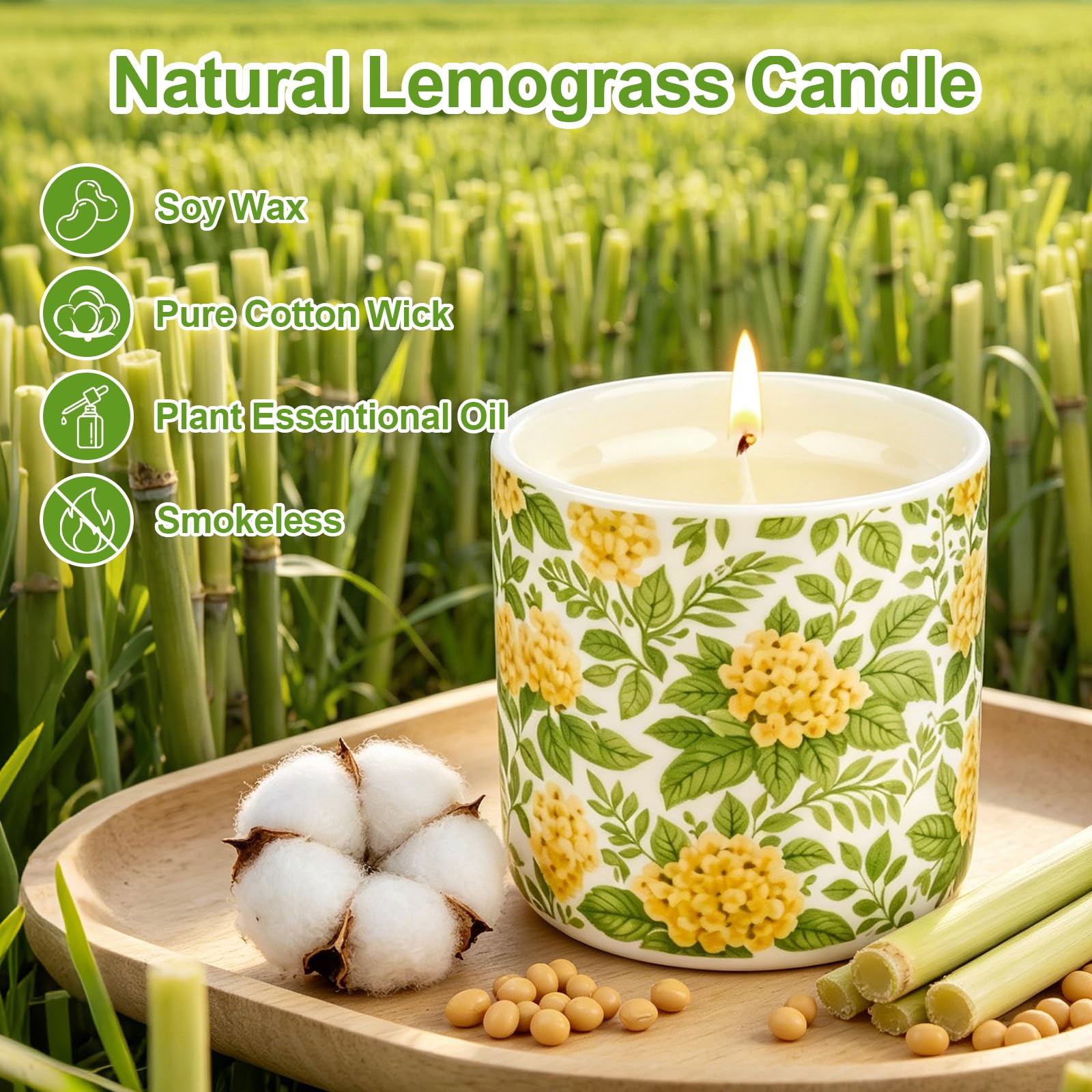 2 Velas de Citronela, 160 horas Larga Duracion Vela Citronela Exterior Grande, Velas Aromáticas Cera de Soja Naturales para Jardín, Camping, Picnic, Barbacoa, Piscina, Terrazas