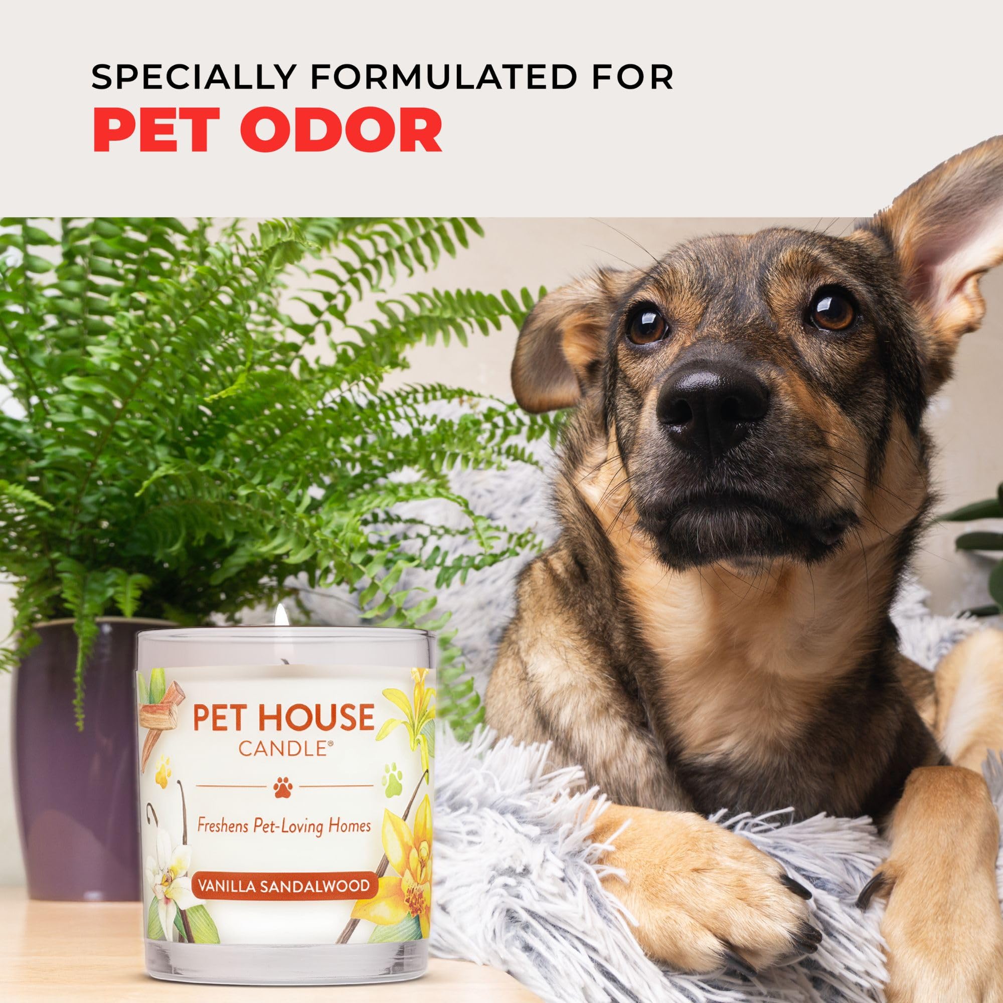 one world Pet House Kerze – Klicken Sie zu sehen, alle 12 Düfte – Natürliche Soja Wachs – langlebig 70 Stunden – Paraffin – 100% ungiftig, PET Geruch Beseitigung Kerze – Tierfreunde Geschenk
