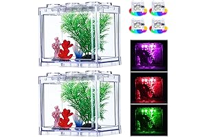 Building Blocks Superimposed Fish Tank