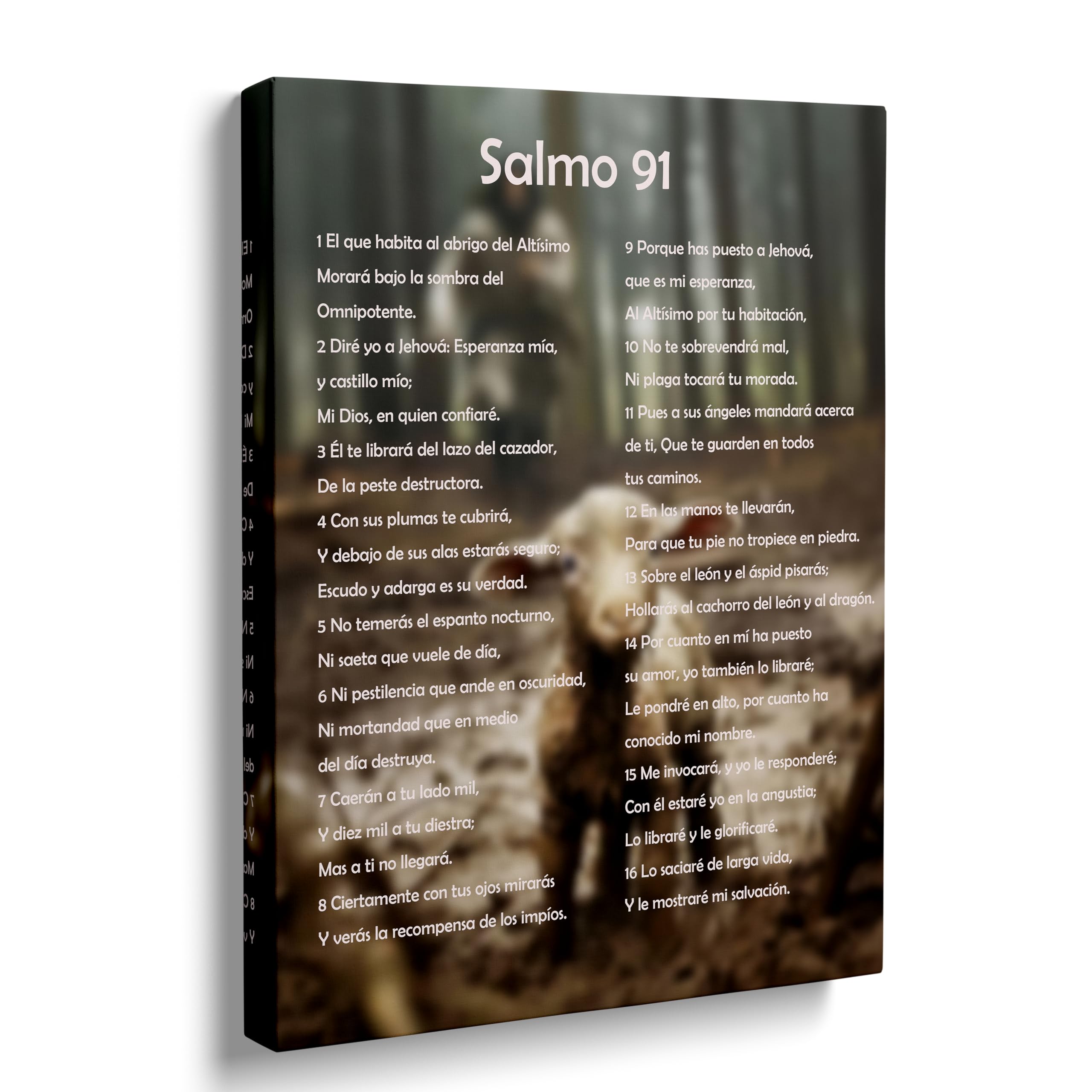 ART Salmo 91 En Español Para Pared Cuadros Cristianos Para Pared En Español, Psalm 91 Wall Art, Christian Wall Decor In Spanish, Decoraciones Para