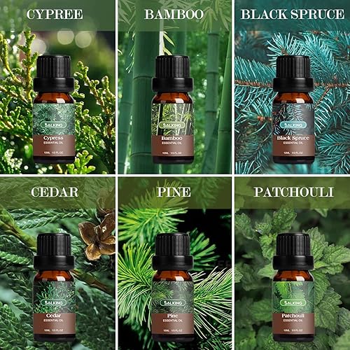 Miniatura 4 de SALKING Woodsy - Juego de aceites esenciales para hombres, aceites esenciales masculinos, 12 x 0.3 fl oz de aceites esenciales de fragancia natural