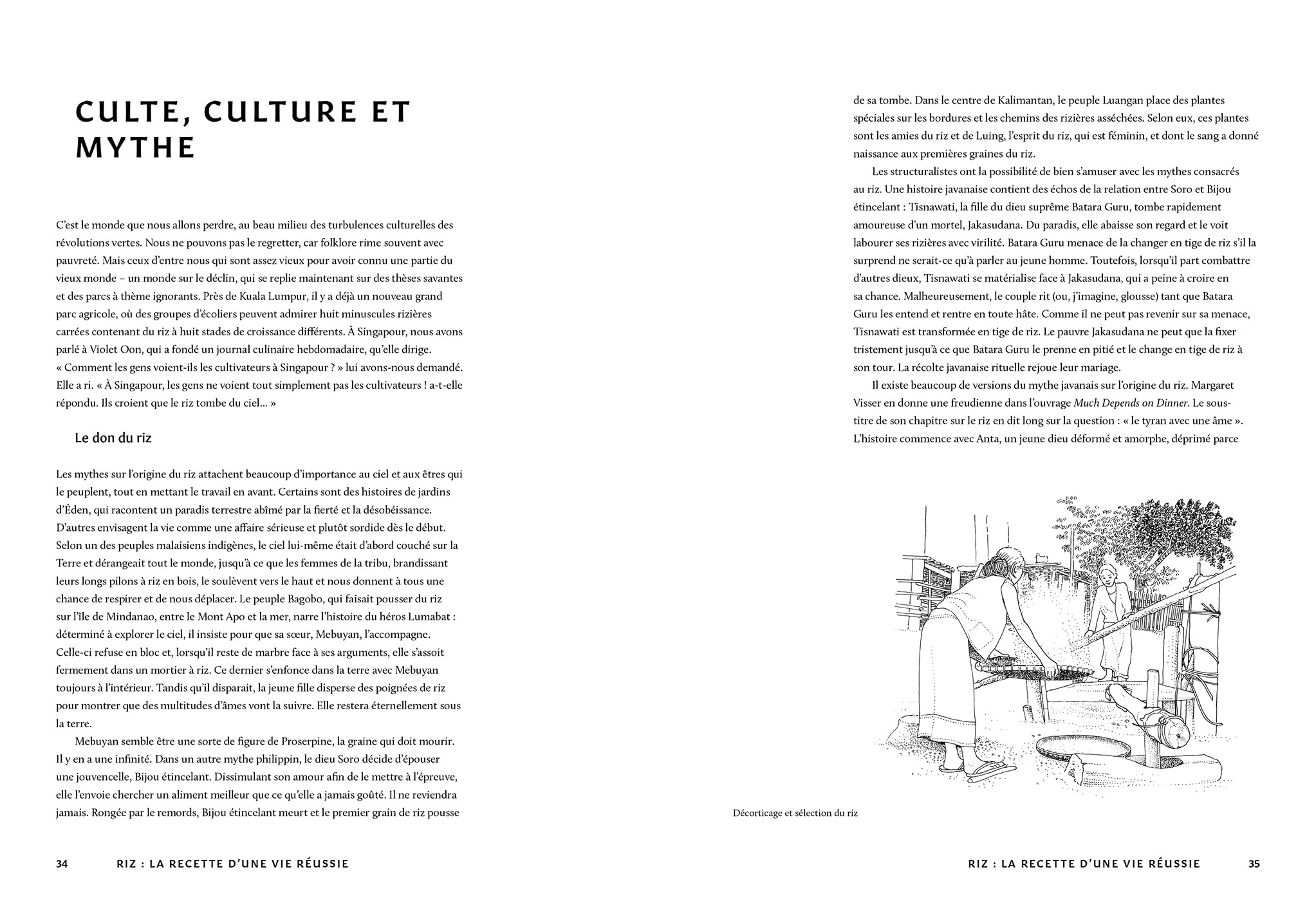 Riz: Histoire - Culture - Recettes