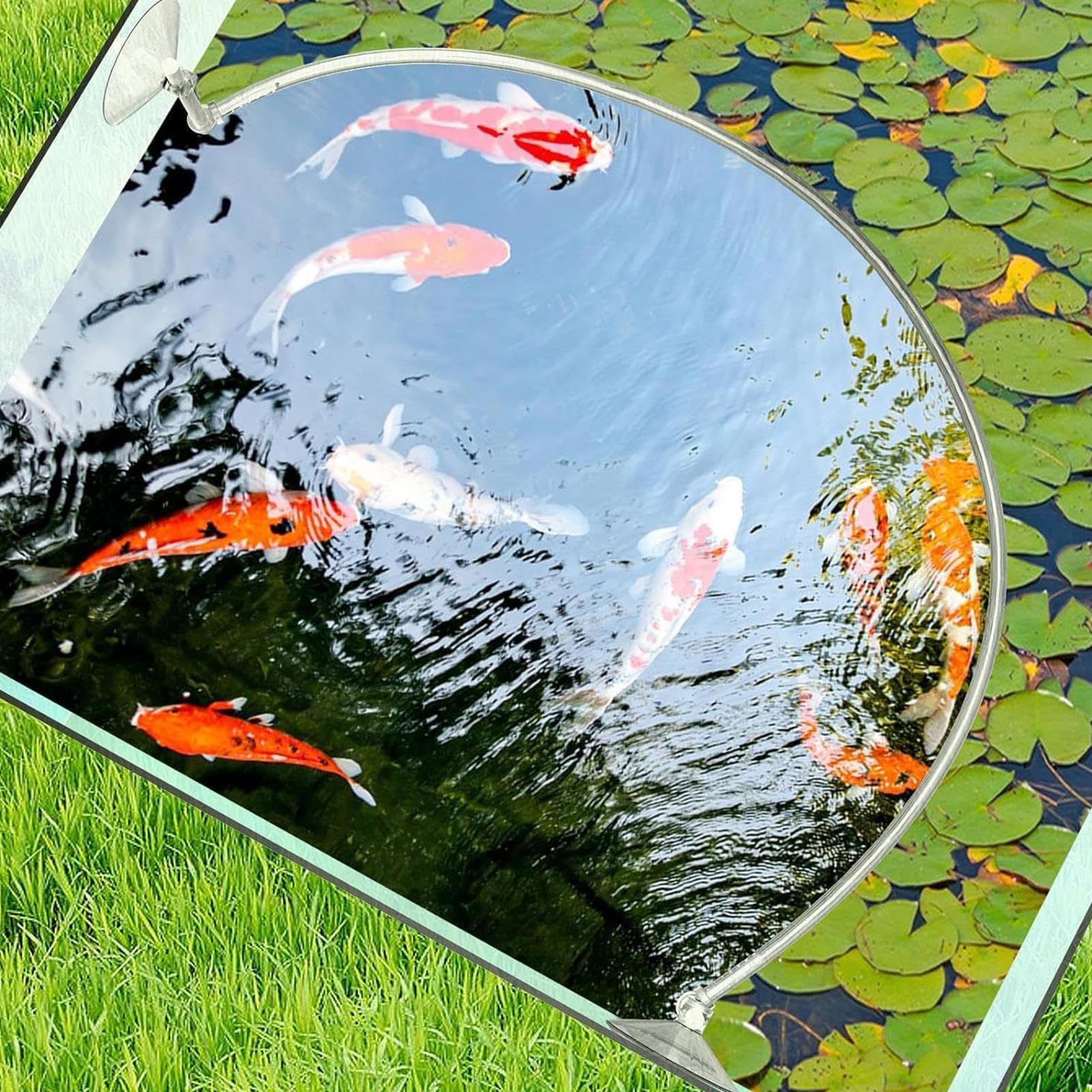 Generisch Clôture de plantes flottante pour aquarium, corral, protège les plantes flottantes, anneau d'alimentation pour aquarium, accessoires d'aquarium pour séparer les plantes flottantes