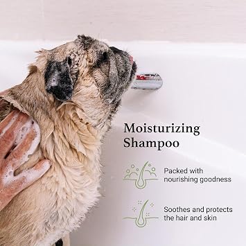 iGroom Argan+Vitamin E Dog Shampoo, Groom Like a Professional, Enhanced Cleaning Power, Recommended pH Balance, Made in USA, Gallon