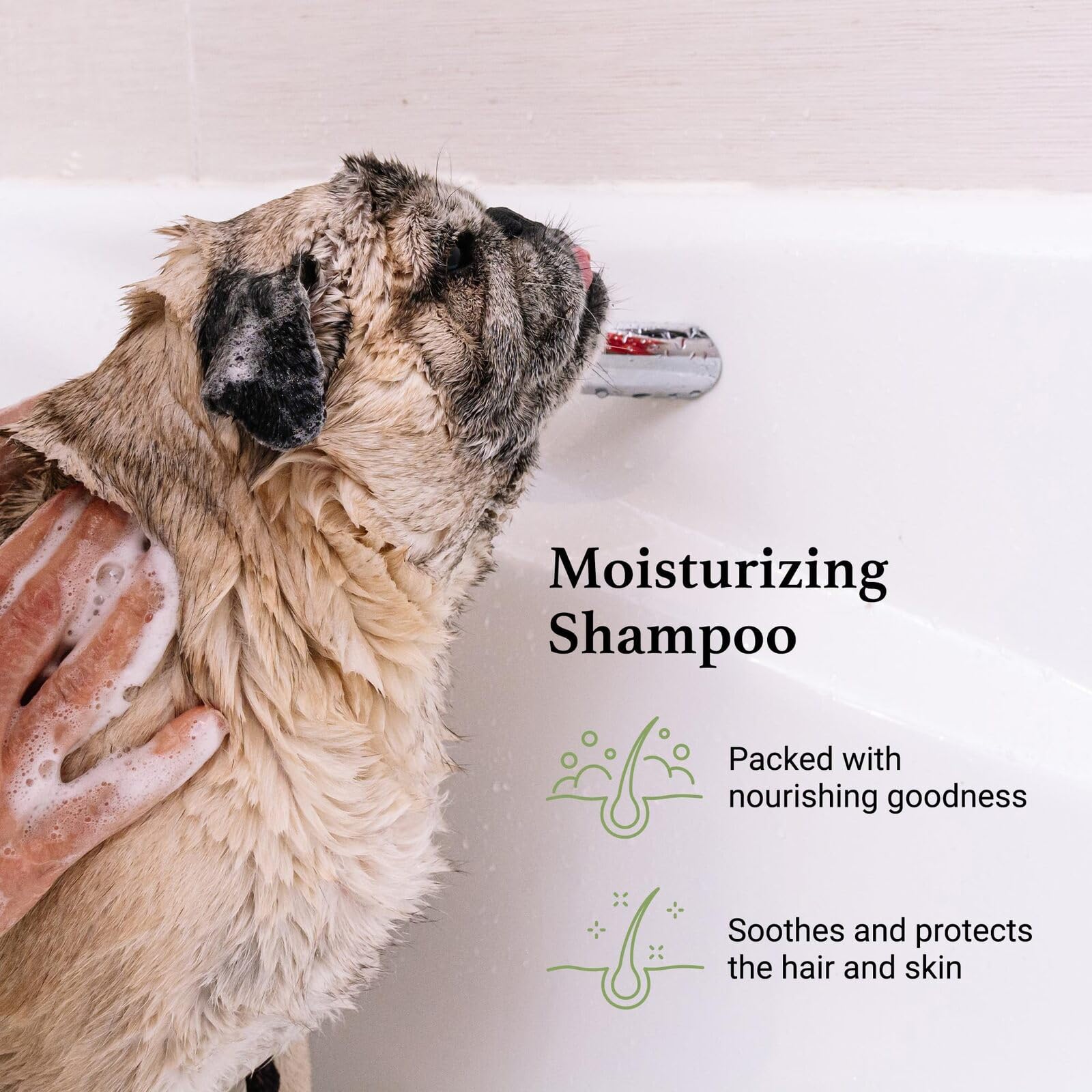Igroom Argan and Vitamin E Shampoo 3.8L