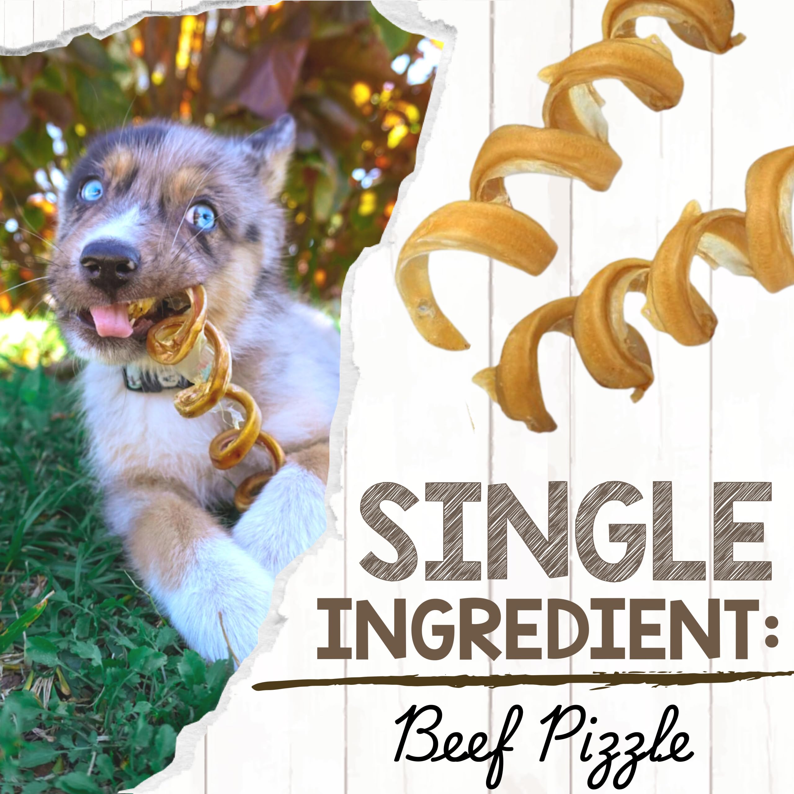 Nature Gnaws Bully Stick Springs - Muelles para Perros, Huesos de Res Naturales de Primera Calidad, golosinas masticables en Espiral de Larga duración, sin Cuero Crudo, 7-10 Pulgadas