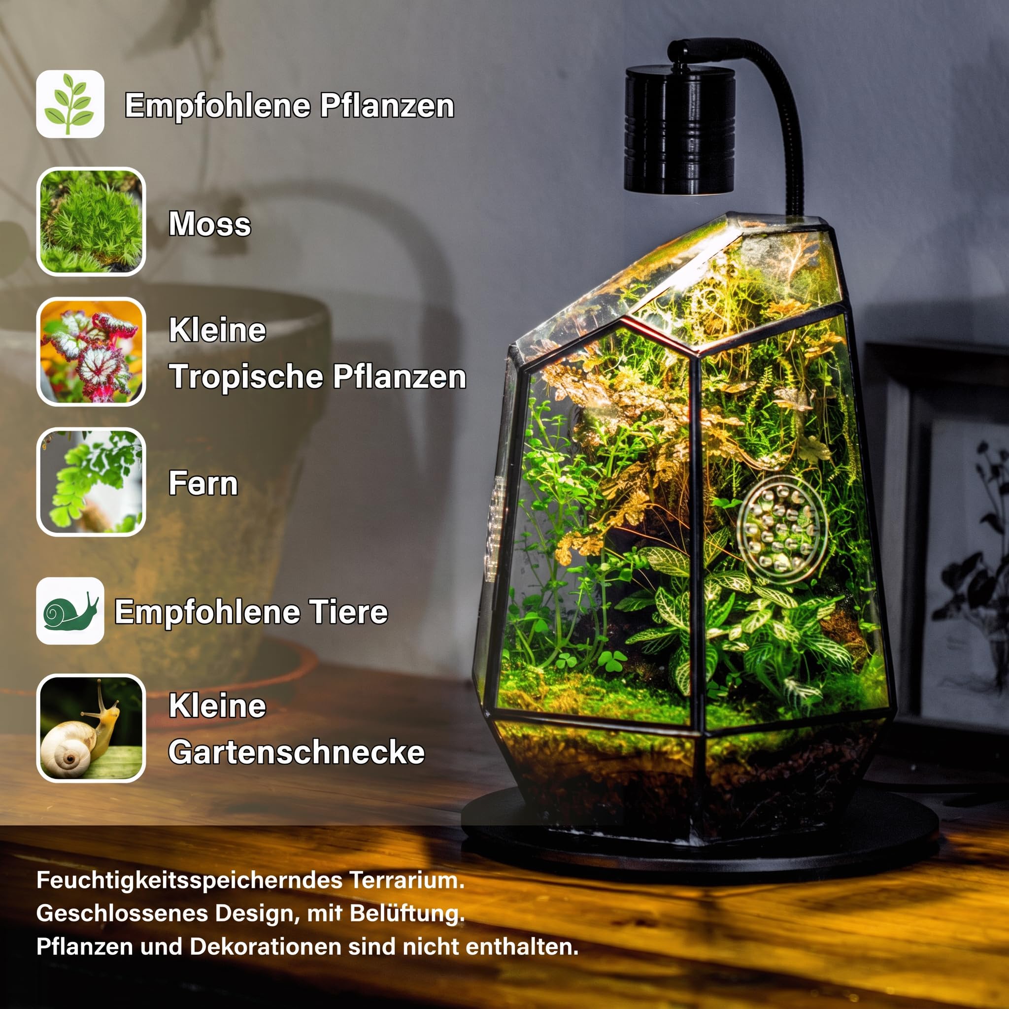 NCYP 20x17,5x25 cm Geschlossenes geometrisches Glas Terrarium mit Tür, Handgefertigt schwarzer unregelmäßiger Pflanztopf für Insekten, Sukkulenten Kakteen Dekoration (Ohne Pflanzen und Requisiten)