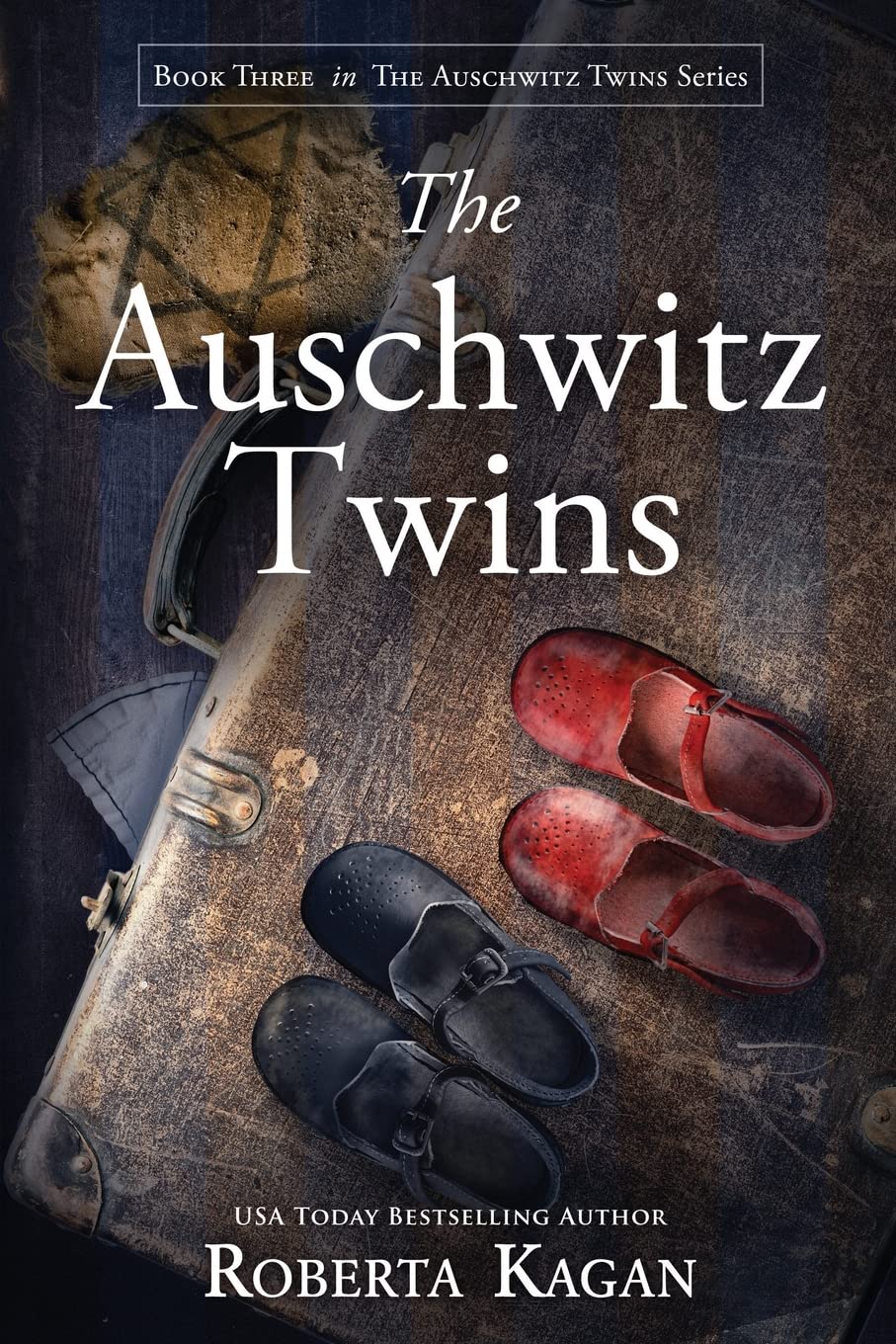 Buy The Auschwitz Twins — BookShops.in