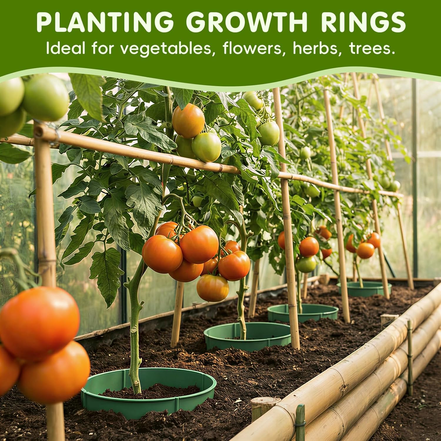 42pcs 13.5 inch Planting Grow Ring, Plant Growing Rings, Adjustable Round Tree Rings, Planting Protective Edging for Outdoor Vegetables, Herbs, Flowers