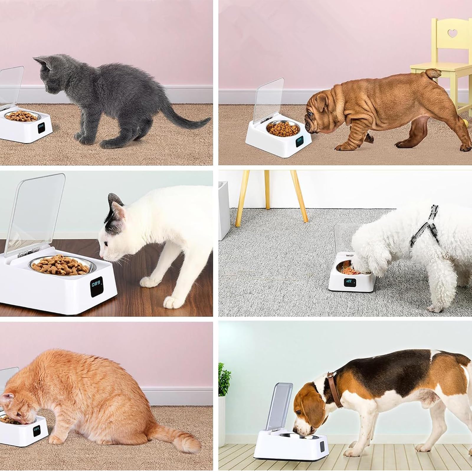 Automatic Pet Feeder Smart Cat&Dog Bowl with Infrared Sensor Lid Rechargeable, Dry or Wet Food (350ml) with Stainless Steel Bowl for Cats & Dogs Indoor Daily Feeding，2pc