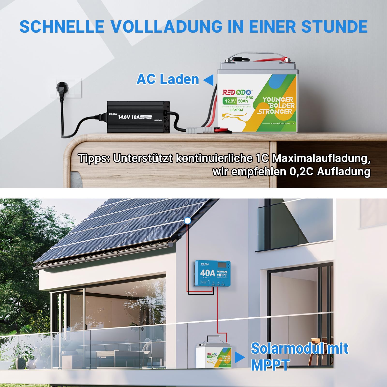 Redodo 12 V 50 Ah LiFePO4 bateria litowa do wykrywania ryb, skuterów dziecięcych, UPS, 4000 + bateria litowa o mocy 256 Wh