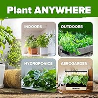 Vista 5 de Bóveda de 10 semillas de hierbas culinarias - Semillas criollas y sin transgénicos – Más de 3000 semillas para plantar en jardín de hierbas exterior