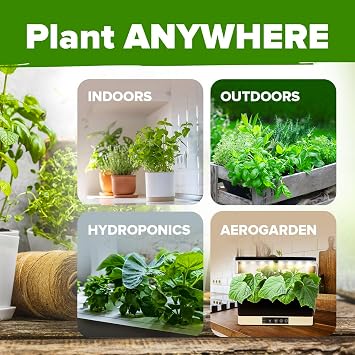 HOME GROWN 10 Herb Seeds for Planting 3,000+ Non-GMO Heirloom Seeds | Extra Large Variety Pack Herb Kit Indoor Outdoor & Hydroponic | Culinary Seed Set | Grow Your Own Herbs | Gift for Beginners