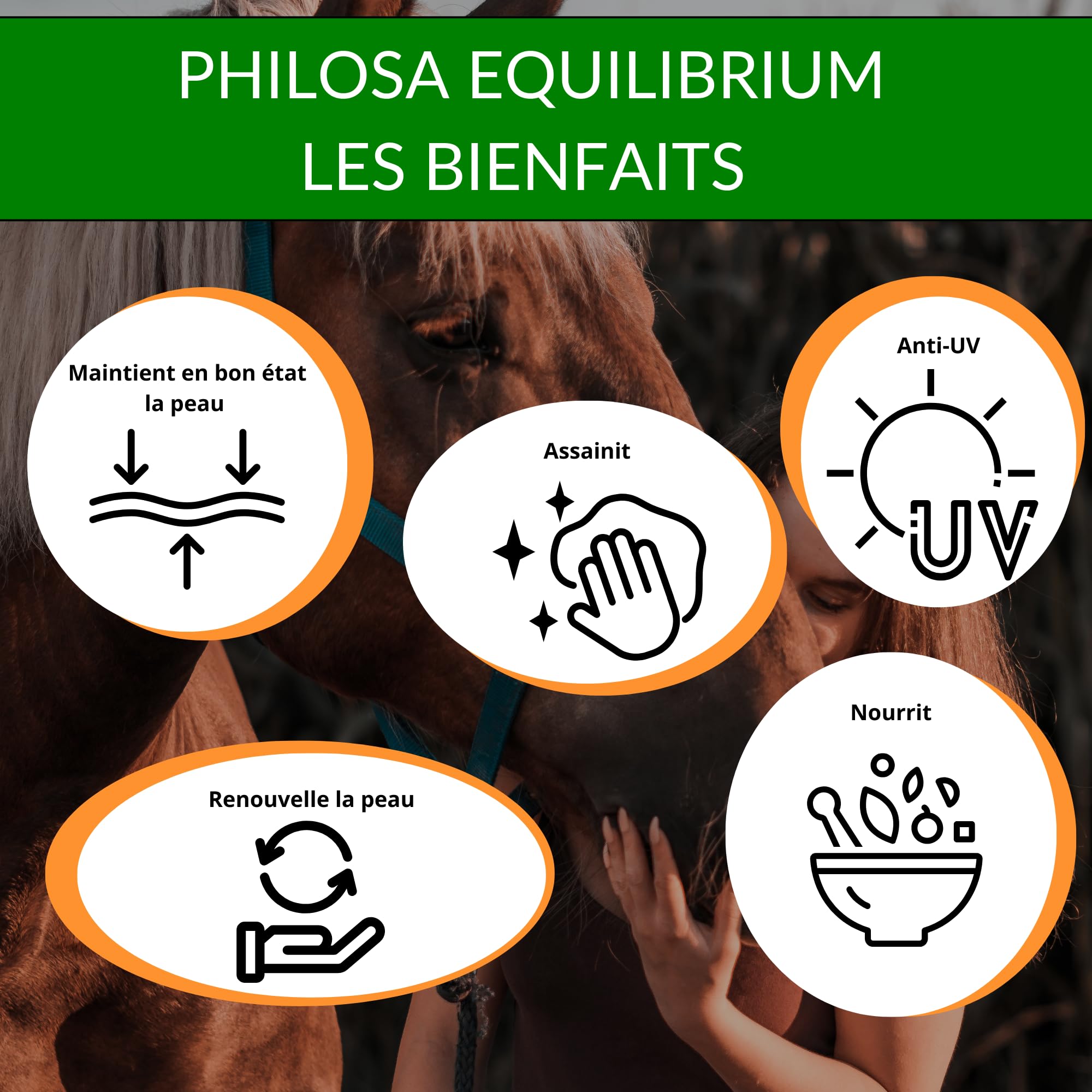 Philosa Equilibrium – Cuidado, bálsamo natural de las pieles dañadas (Gale de Lodo,...) para caballos – A base de plantas, caléndula, árbol de té, lavanda, orégano, aceite de Cade (250 ml)