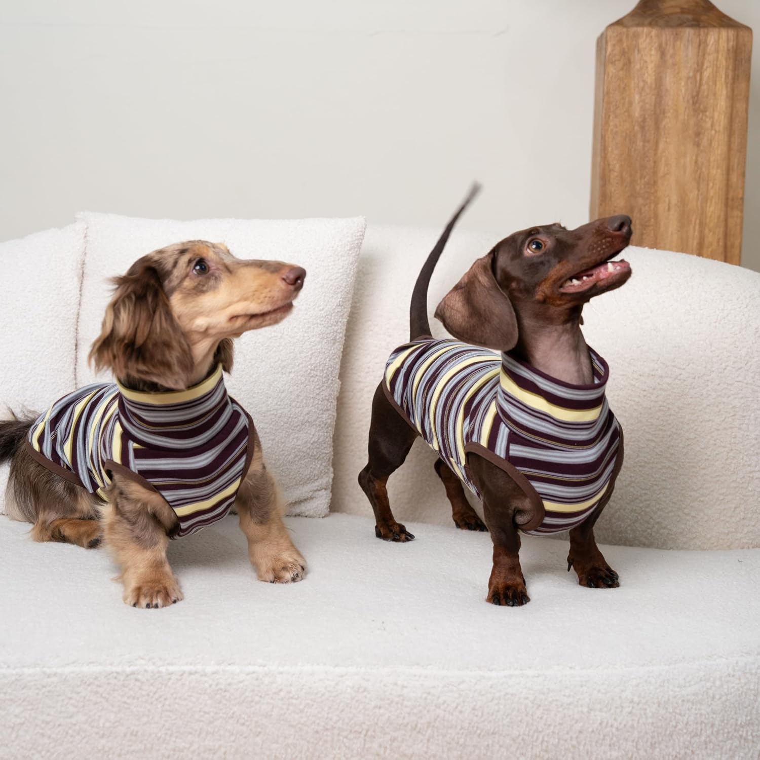 Dachshund Dog Sleeveless Onesie, Cozy Turtleneck Stripped Shirt for Mini Dachshund Italian Greyhound Whippets (L (13-17 lbs))