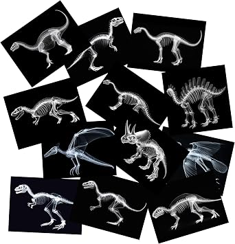 Animal X-Ray Set, Educational Science Kit, Light Table Accessory for Children Dinosaurs