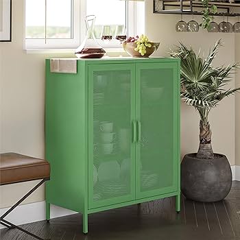 Amazon.com: Novogratz Channing 2 Door Accent Cabinet-Mesh