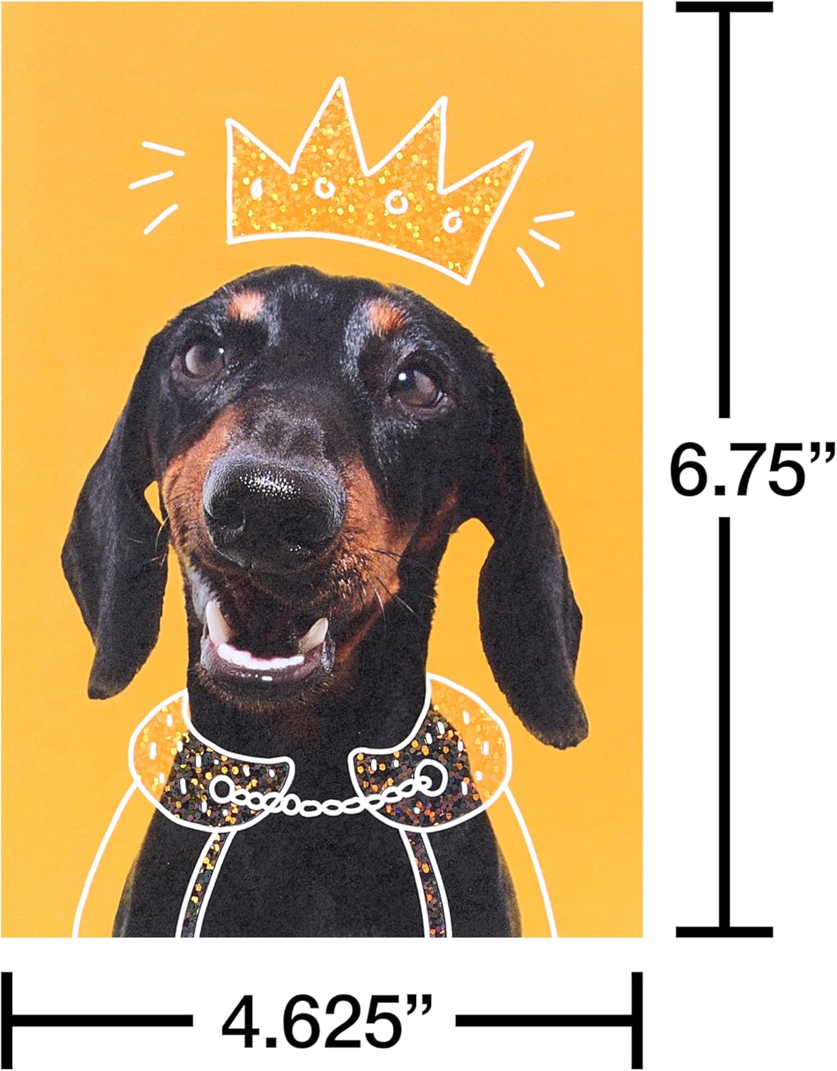 American Greetings Blank Cards and Envelopes Assortment Box, Funny Dogs, 15 count (Pack of 12)