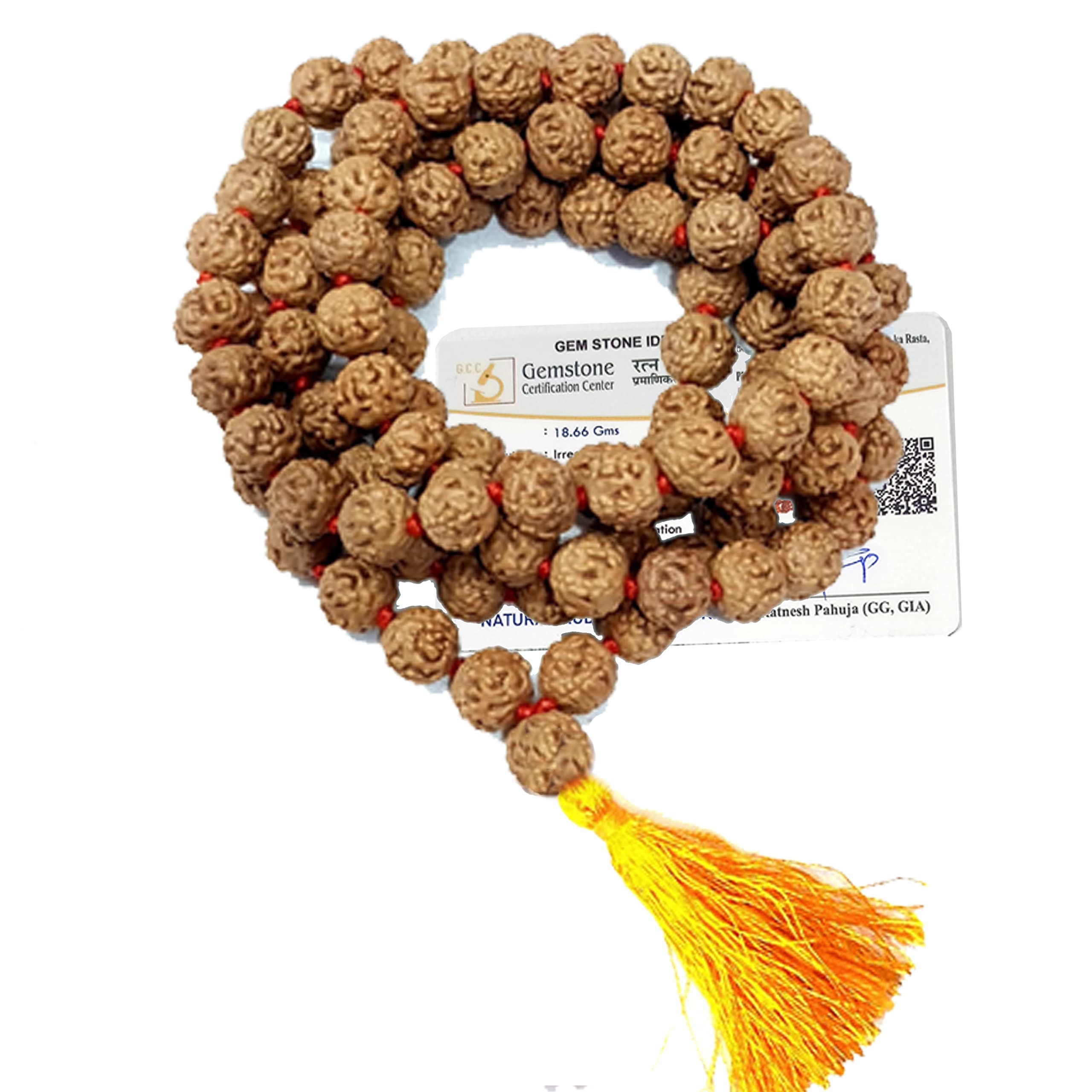 Vado 5 Mukhi Rudraksha Mala - Authentic & Certified -10