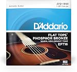 D'Addario EFT16 Flat Tops Acoustic Guitar Strings - Light 12-53