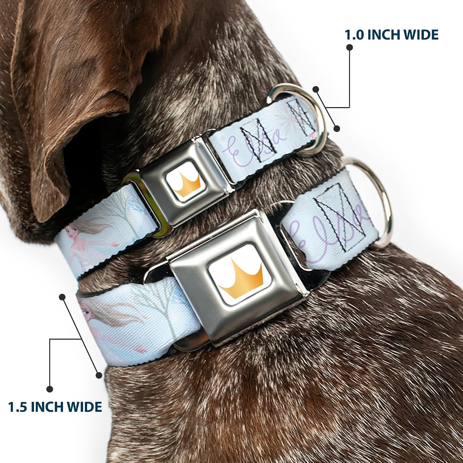 Dog Collar Seatbelt Buckle Frozen Elsa Snowflake Pose with Trees and Script Blues 9.5 to 13 Inches 1.0 Inch Wide