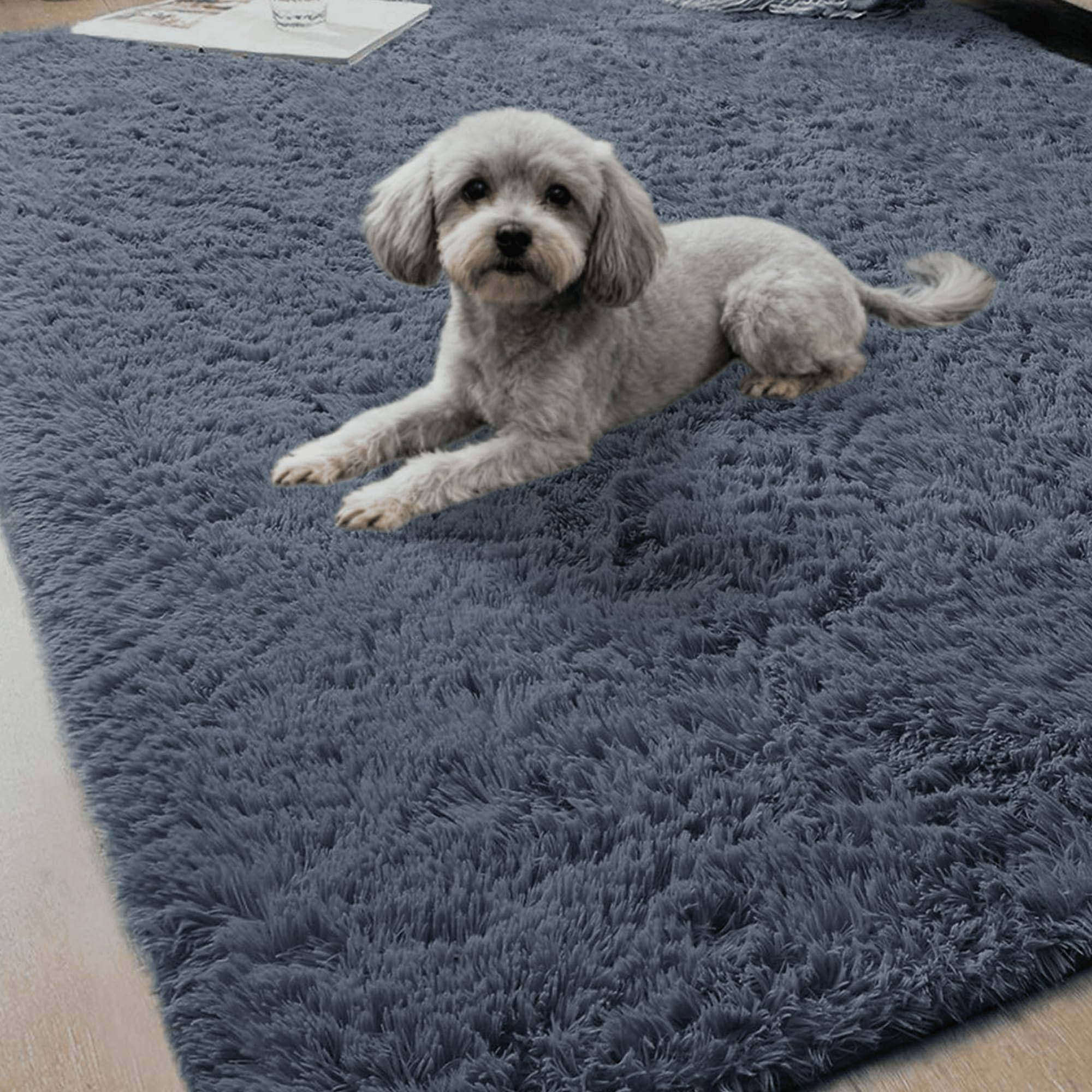 Tapis salon 200 x 280 cm moderne shaggy lavable gris foncé