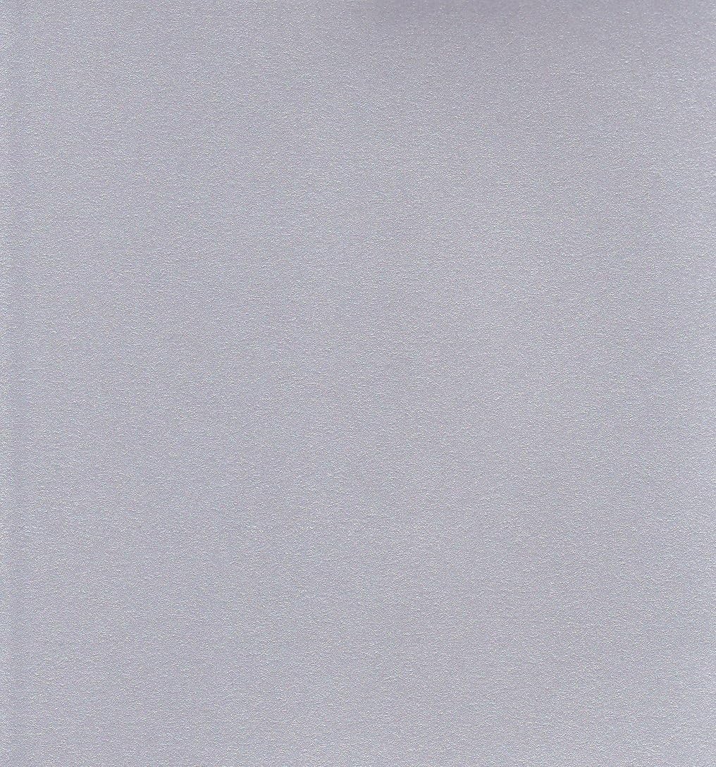 Escent 5792008 Colored Drawing Paper, Kent Paper, Starlight, 8 Cut, Silver, 100 Sheets