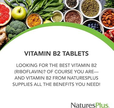 NaturesPlus Vitamin B2 250 mg - 60 Sustained Release Tablets - Supports Energy, Immune Health & Vibrant Hair, Skin, and Nails - Antioxidant Protection - Vegetarian, Gluten Free - 60 Servings