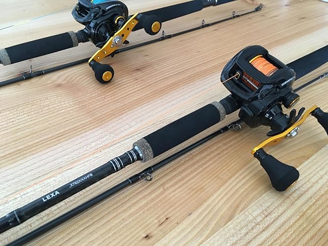 Amazon.co.jp: AbuGarcia (アブガルシア) OCEANFIELD BG 右巻き パワー