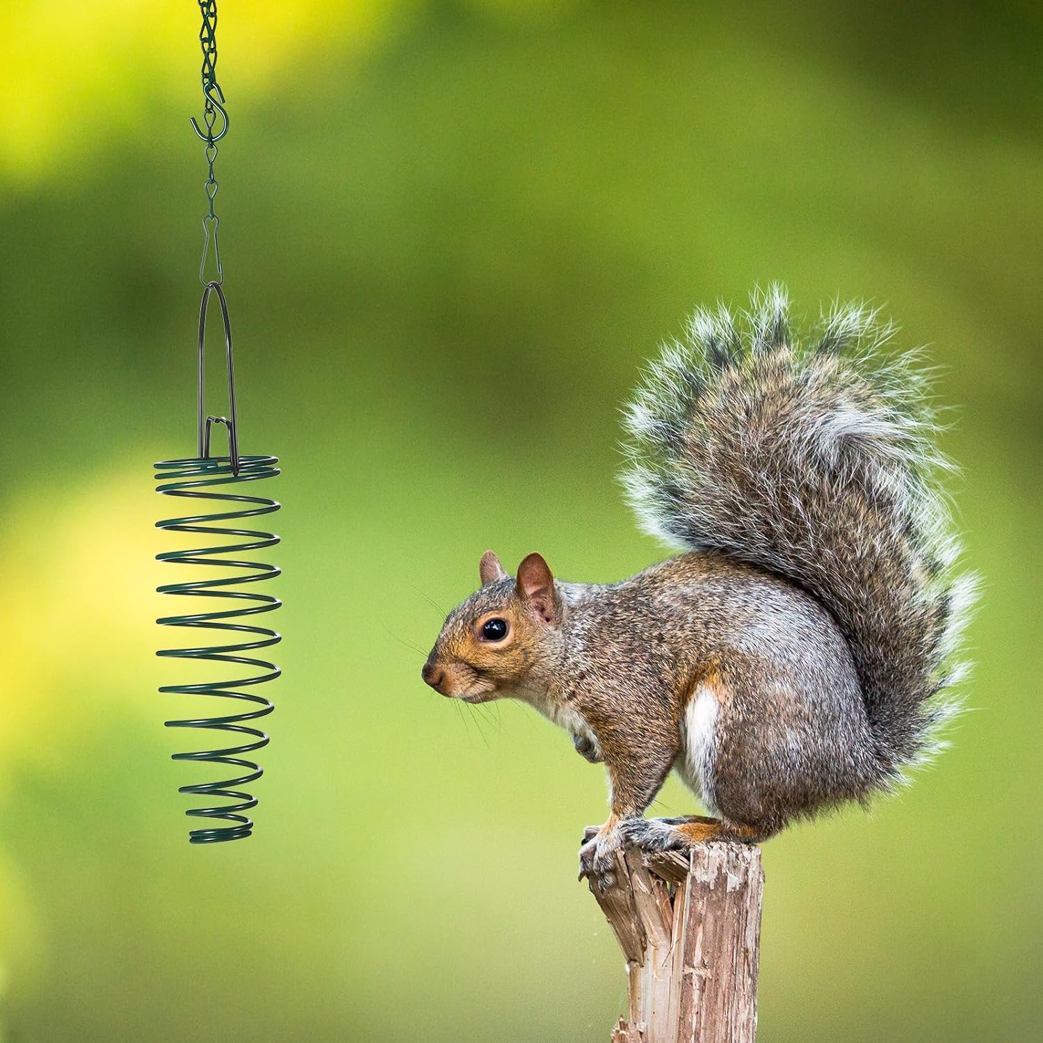 Geiserailie Squirrel Feeder Corn Cob Holder with 35 Inches Extension Chain for Squirrel Bird and Other Backyard Feeding Supplies(3 Pcs)