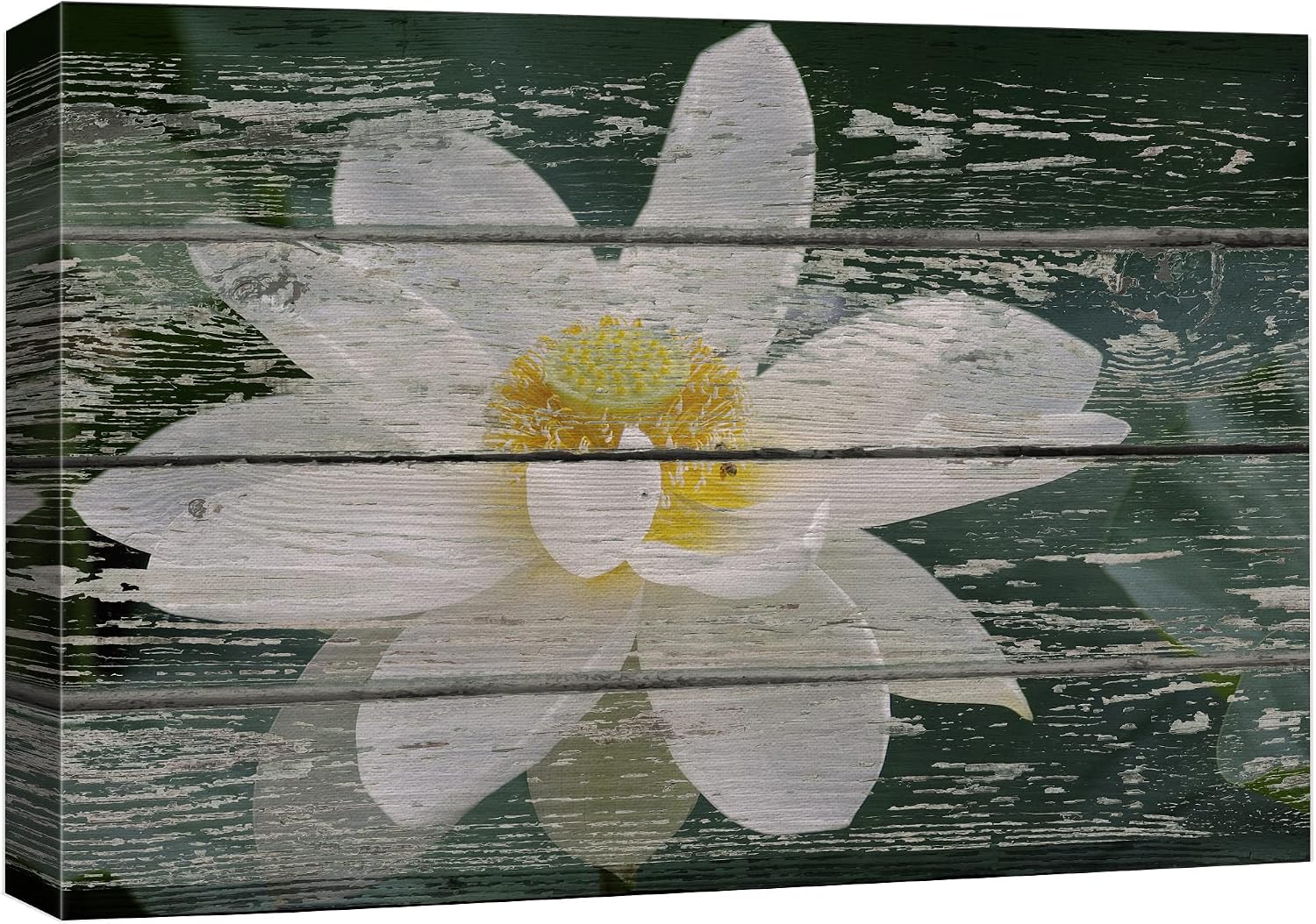 wall26 Canvas Print Wall Art White Lotus Flowers on Vintage Wood Panels Floral Botanical Photography Modern Art Chic Scenic Relax/Calm Multicolor for Living Room, Bedroom, Office - 12"x18"