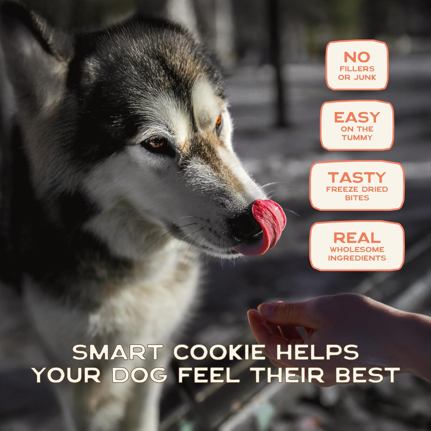 Smart Cookie Freeze Dried Salmon Bites - Single Ingredient Freeze Dried Treats for Dogs - Wild Caught Alaskan Salmon Dog Training Treats & Dog Food Topper - Made in USA - 2oz Bag, 3 Pack
