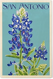 Lantern Press 10x15 Inch Wood Sign, Ready to Hang Wall Decor, San Antonio, Texas, Bluebonnet, Letterpress