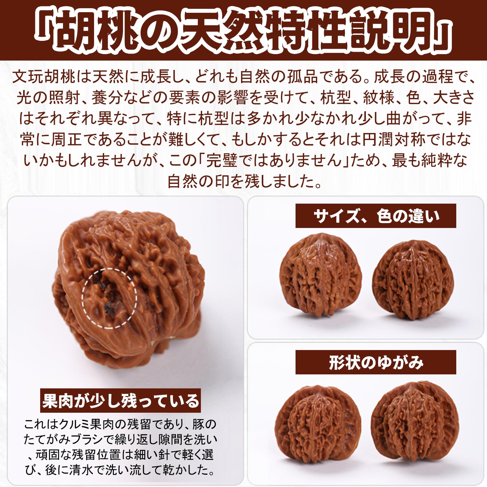 Amazon | 文玩クルミ 手遊びクルミ 2個セット 44-48mm 天然胡桃 ハンド