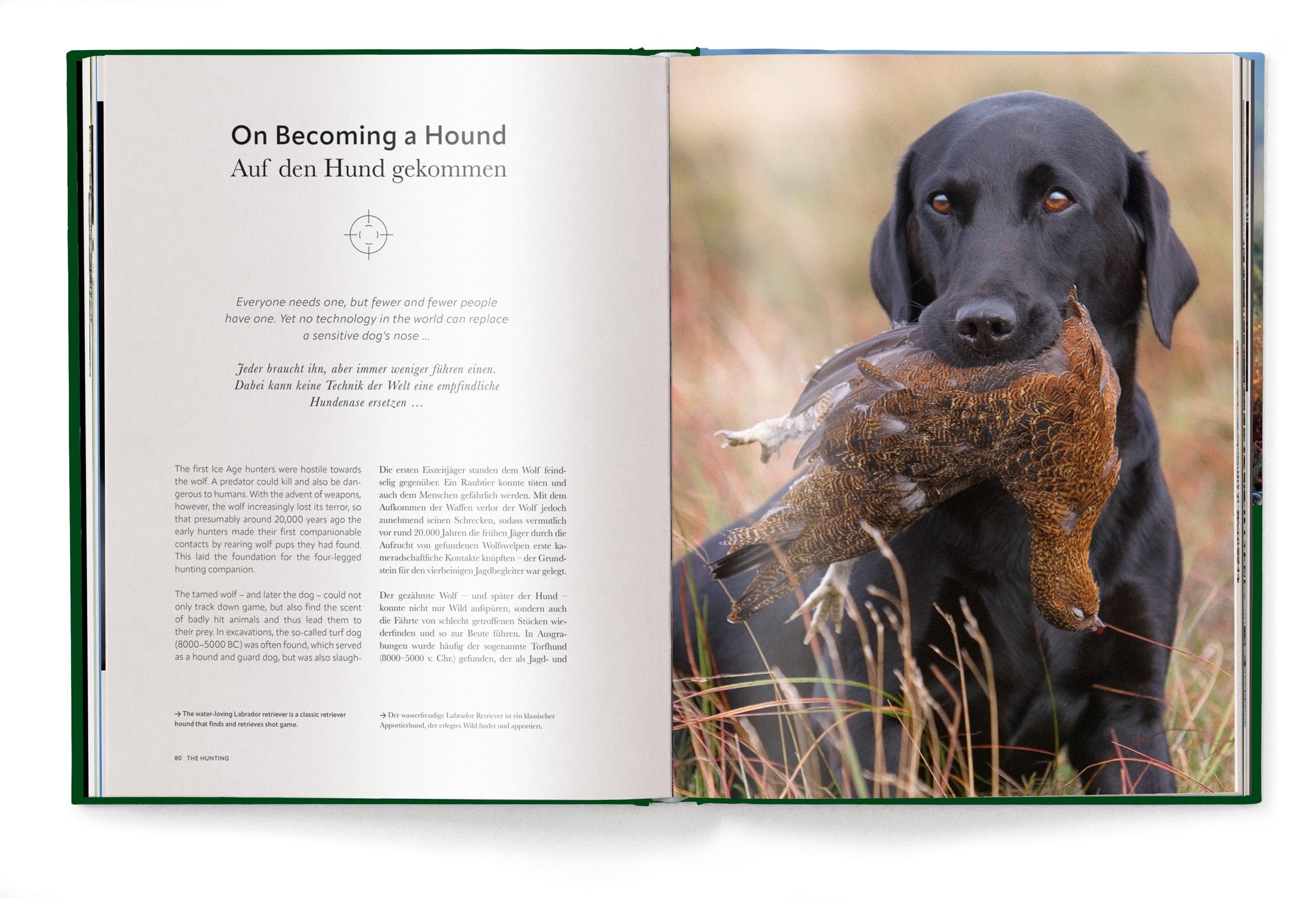 Jagd - Das ultimative Buch (The Ultimate Book)