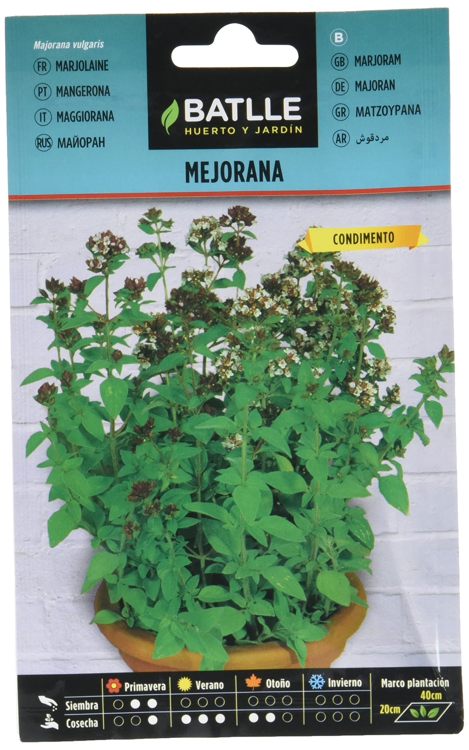Graines Aromatiques Semillas Batlle - Marjolaine et Origan des Jardins