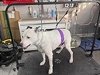 Review Image by Gregg