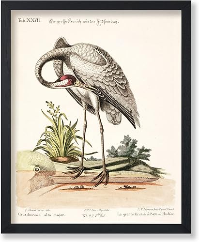 Miniatura 22 de Poster Master Póster vintage de colibríes, impresión de formas de arte retro en la naturaleza, arte de pájaros, regalo para él, ella y amante de los